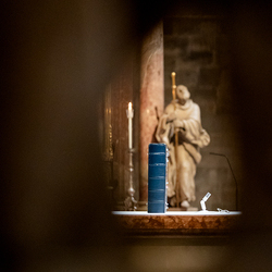 Allerseelen Requiem im Stephansdom